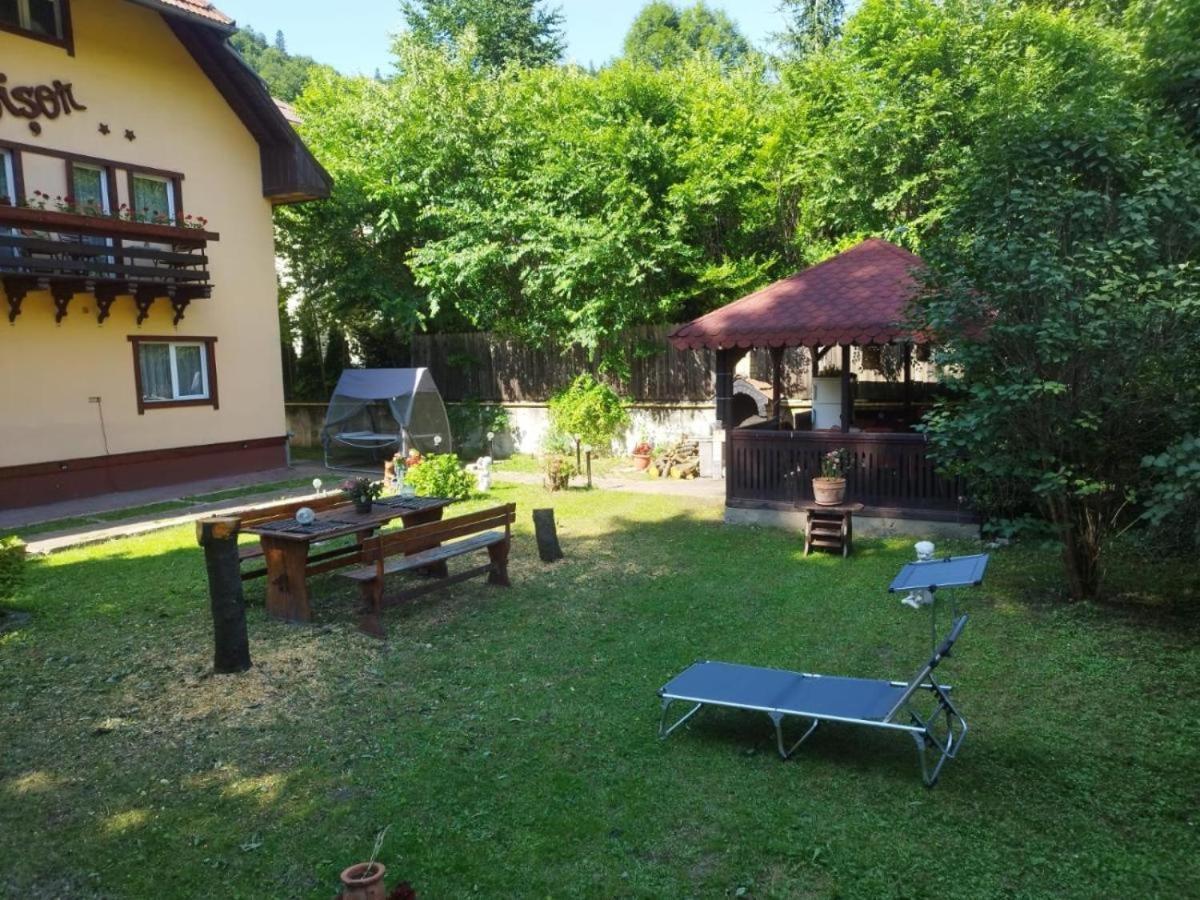 Villa Foisor Busteni Exterior photo